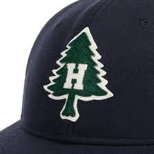 HERSCHEL VINTAGE RANGER CAP