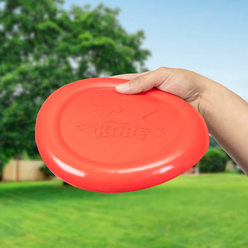 BACON SCENTED FLYING DISC