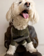 Load image into Gallery viewer, COZY DOG SWEATER