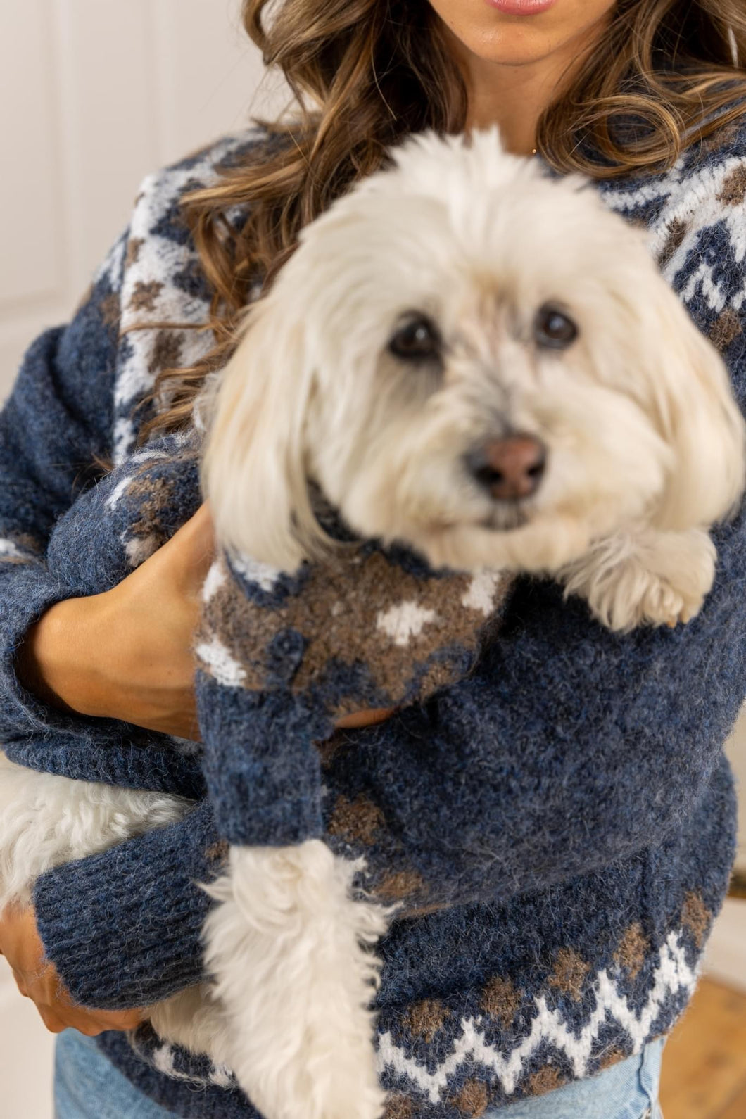 COZY DOG SWEATER